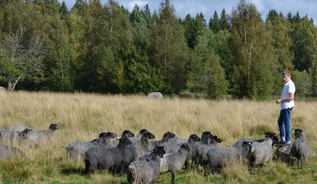 Sensommar eller höst?